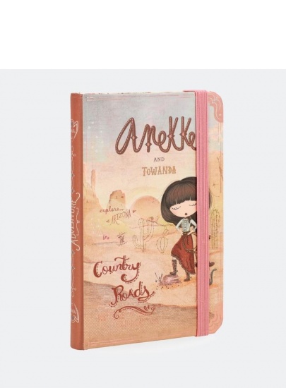 Notes ANEKKE Arizona AN30700-A1X1