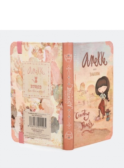 Notes ANEKKE Arizona AN30700-A1X1