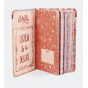 Notes ANEKKE Arizona AN30700-A1X1