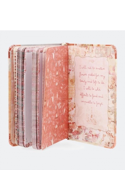 Notes ANEKKE Arizona AN30700-A1X1