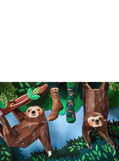 Kolorowe Skarpetki MANY MORNINGS Sloth Life