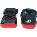 BOBUX Summit Navy + Red 731604 | EN