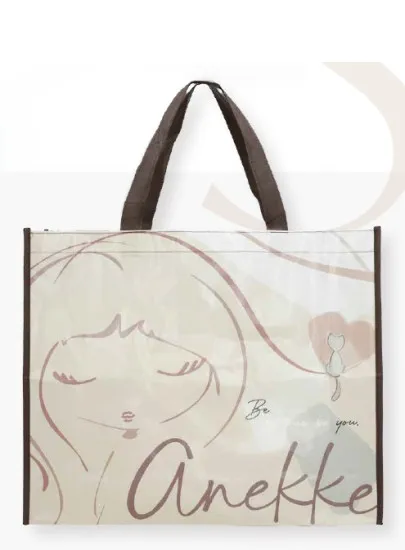 Torba Zakupowa ANEKKE 42974-910