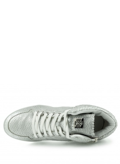 TRAMPKI HOGL 5316 7400