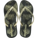 JAPONKI IPANEMA ANAT NATURE II FEM - Japonki