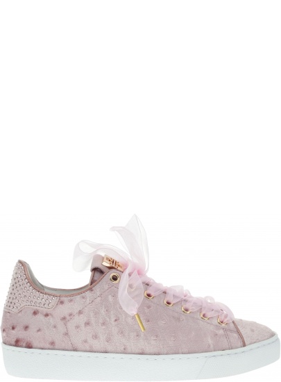 TRAMPKI HOGL 510 0336 - Trampki