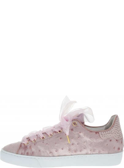 TRAMPKI HOGL 510 0336 - Trampki