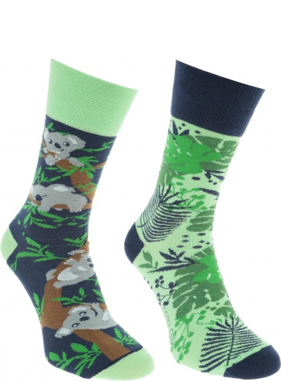 Kolorowe Skarpetki Spox Sox Koala