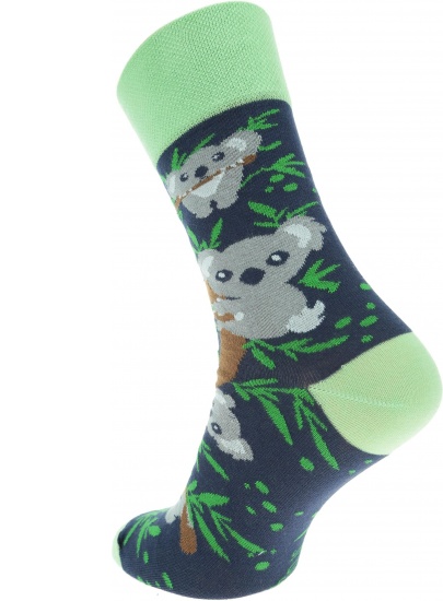 Kolorowe Skarpetki Spox Sox Koala