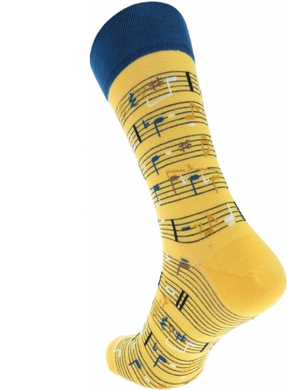 Many Mornings SOCKS MUSIC NOTES | EN