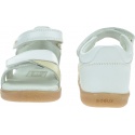 Sandals BOBUX 635002 Sail White + Gold | EN