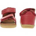 Sandals BOBUX 633604 Driftwood Red | EN